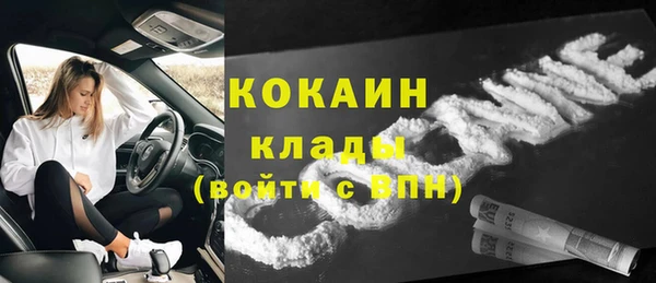 гидра Корсаков