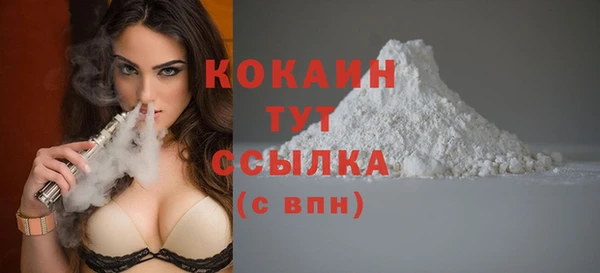 гидра Корсаков