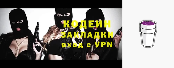 гидра Корсаков