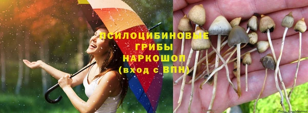 бошки Коряжма