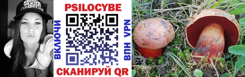 Галлюциногенные грибы Psilocybine cubensis  купить   Углич 